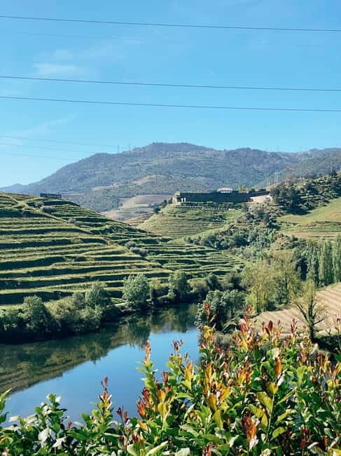 Douro Valley: PRIVATE TOURS with 1 Wine Tasting - How Does It Compare to Other Experiences?  