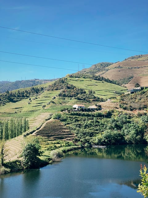 Douro Valley: PRIVATE TOURS With 1 Wine Tasting - Key Points