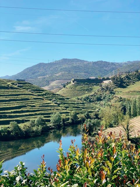 Douro Valley: PRIVATE TOURS With 1 Wine Tasting - Important Information and Recommendations