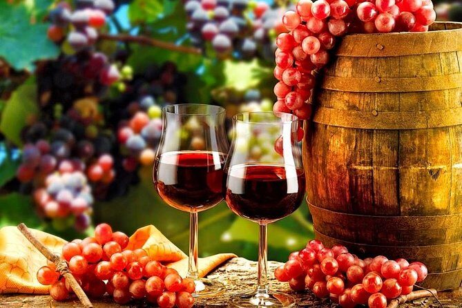 Douro Valley Private Wine Tour from Lisbon - A Closer Look at What You Can Expect