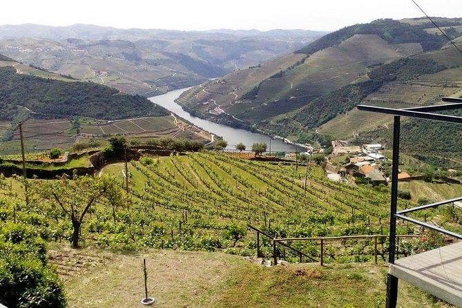 Douro Valley Private Wine Tour from Lisbon - Who Is This Tour Best For?