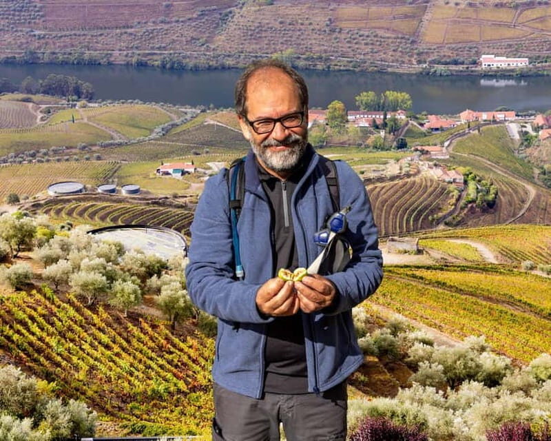 Douro Valley: Provesende and São Cristóvão Guided Hike - Who Is This Tour Best For?