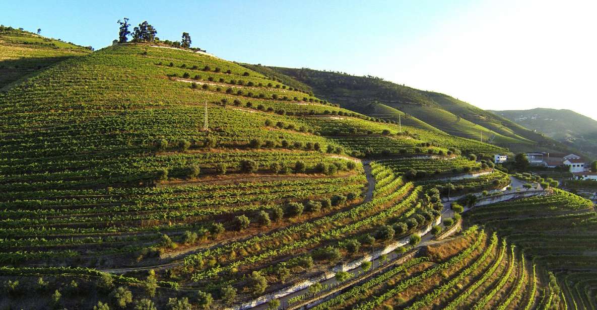 Douro Valley: Quinta De S. Luiz Winery Tour and Tasting - Key Points
