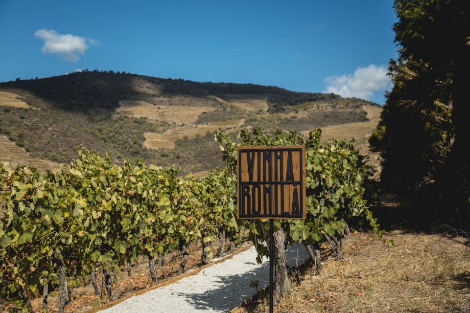 Douro Valley: Quinta De S. Luiz Winery Tour and Tasting - Customer Reviews