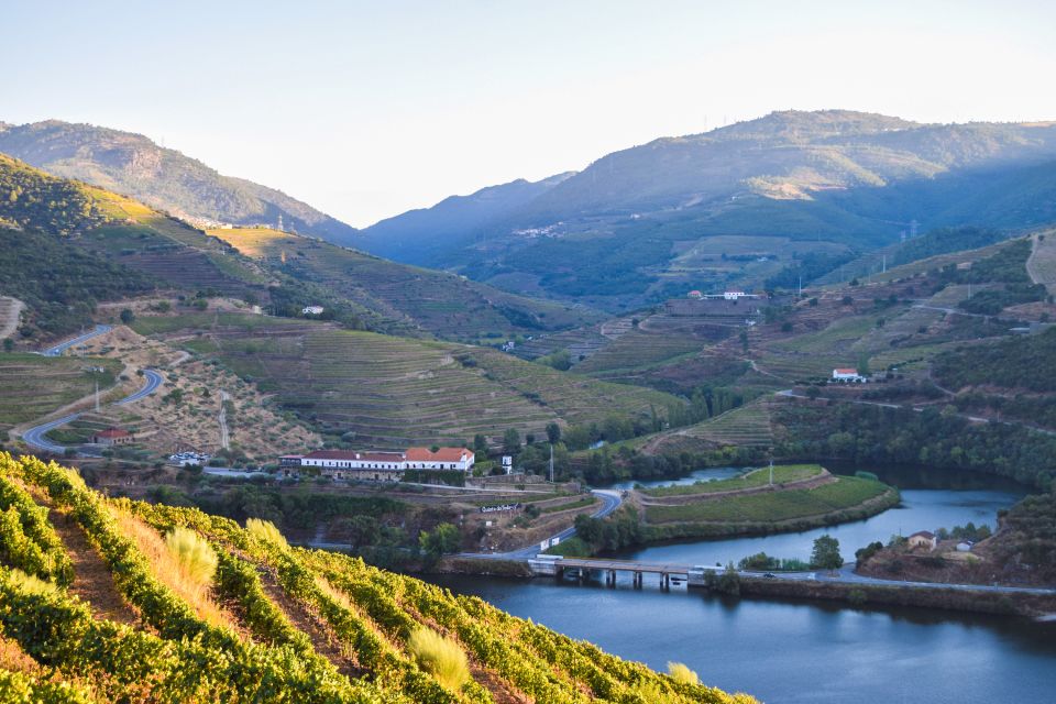 Douro Valley: Quinta Do Tedo Wine Experience With Picnic - Guided Tour Details