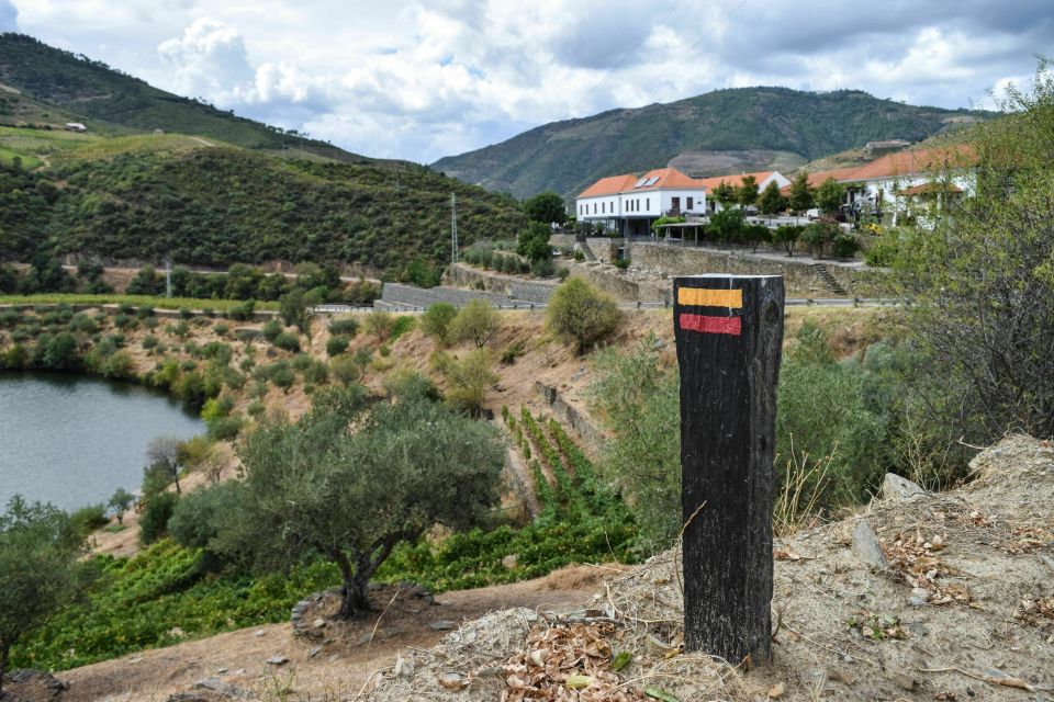 Douro Valley: Quinta Do Tedo Wine Experience With Picnic - Picnic Offerings