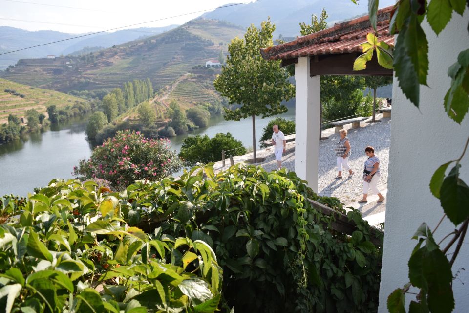 Douro Valley: Quinta Do Tedo Wine Experience With Picnic - Meeting Point and Directions