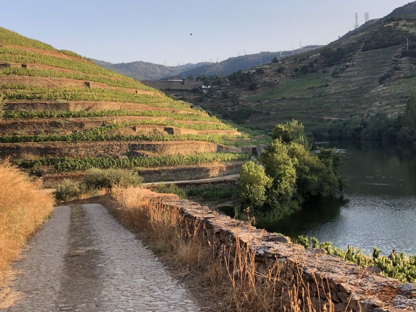 Douro Valley: Quinta Do Tedo Wine Experience With Picnic - Scheduling and Timings