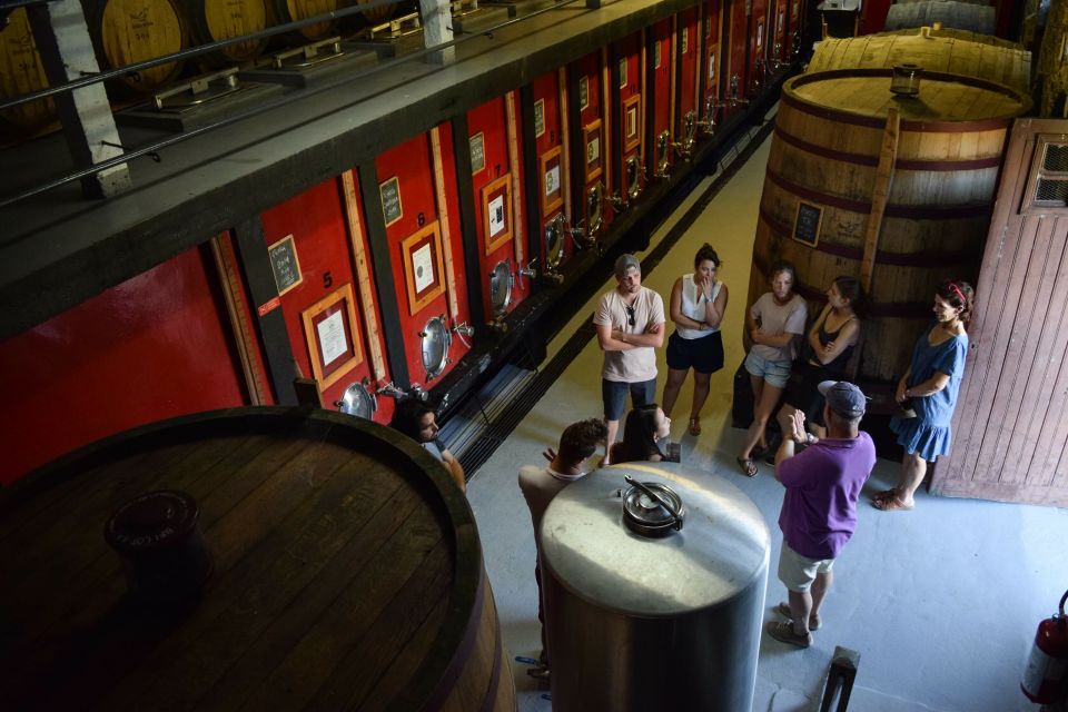 Douro Valley: Quinta Do Tedo Wine Experience With Picnic - Inclusions and Exclusions