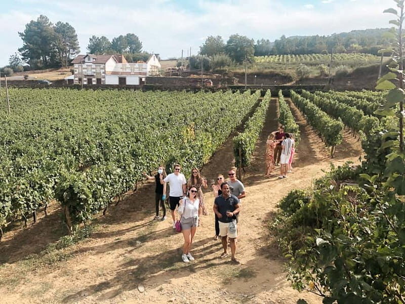 Douro Valley: Real Small-Group, Wine Tasting, Lunch & Boat - Exploring the Douro Valley: Small-Group Wine Tasting, Lunch & River Cruise