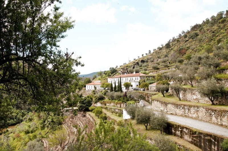 Douro Valley: Real Small-Group, Wine Tasting, Lunch & Boat - Who Is This Tour Best Suited For?