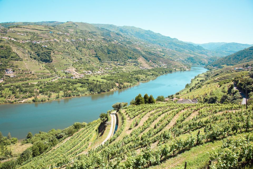 Douro Valley: Real Small-Group, Wine Tasting, Lunch & Boat - FAQs