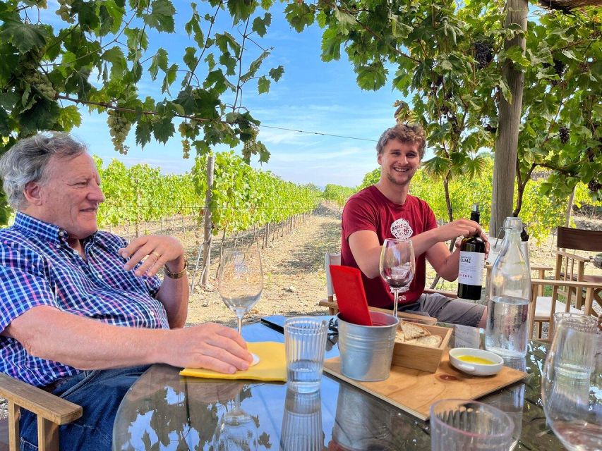 Douro Valley Semi-Private Tour With Two Wineries and Lunch - Itinerary Highlights
