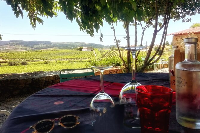 Douro Valley: Small-Group Tour Wine Tasting, Lunch, River Cruise - Tour Location and Duration