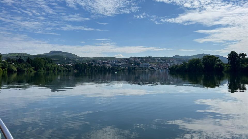 Douro Valley Tour - Tour Guide and Languages
