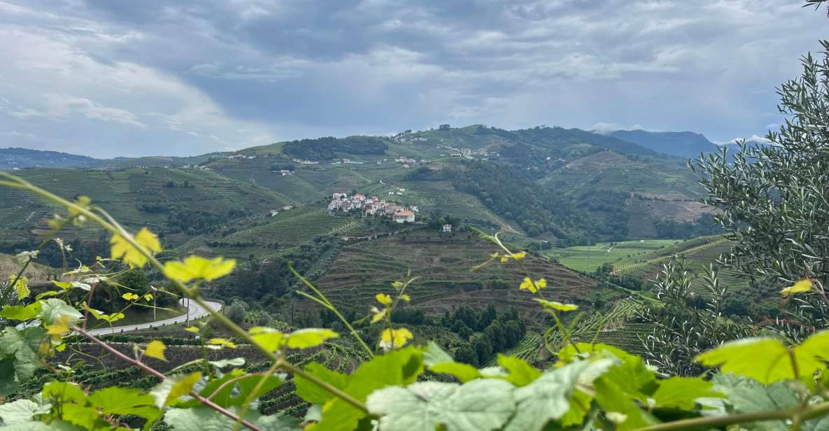 Douro Valley Tour - Hotel Pickup and Drop-off