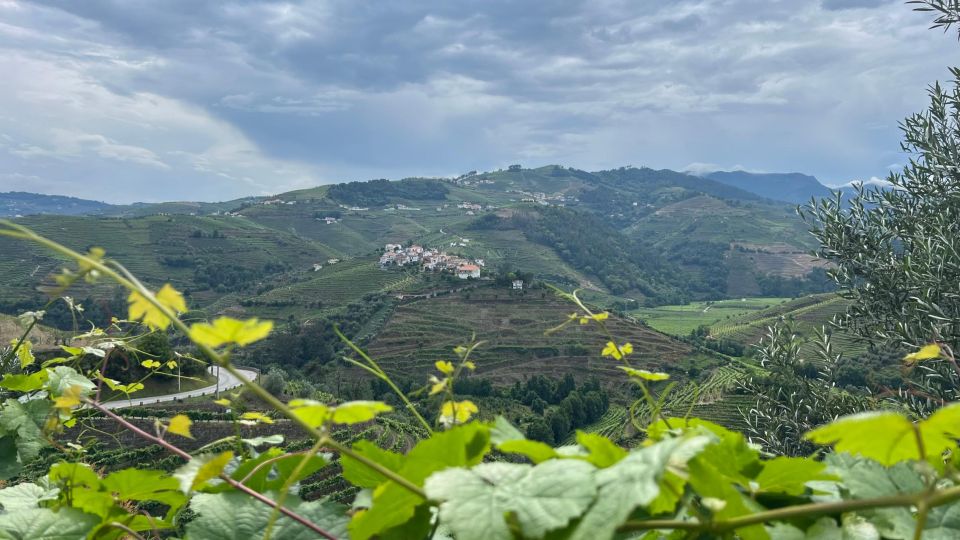 Douro Valley Tour - Highlights and World Heritage Site