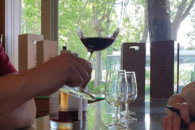 Douro Valley Tour Wine and breathtaking views - Key Points  