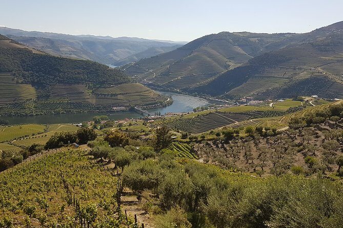 Douro Valley Tour Wine and breathtaking views - What’s Included and What’s Not