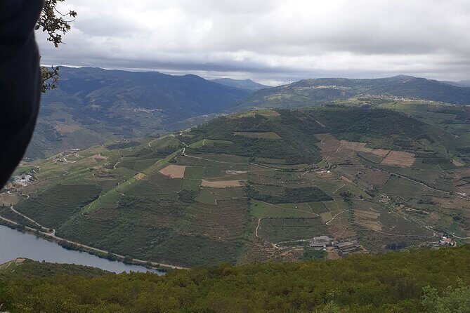 Douro Valley Tour Wine and breathtaking views - Who Will Love This Tour?