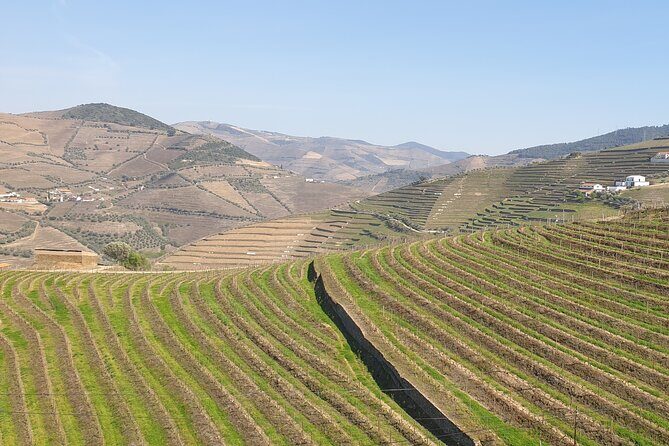 Douro Valley Tour Wine and breathtaking views - FAQ