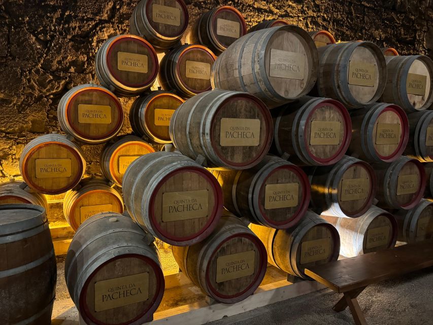 Douro Valley Tour With 2 Wine Tastings Included - Douro Valley Wine Tastings
