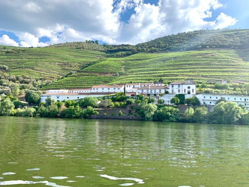 Douro Valley Tour With 2 Wine Tastings Included - Lunch at Local Restaurant