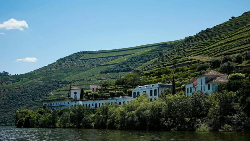 Douro Valley Tour with Lunch, Visit to a Vineyard, Boat Trip - How the Experience Resonates with Travelers