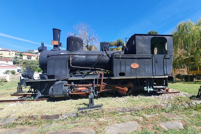Douro Valley Tour With Train and Vinho Verde Review - Key Points