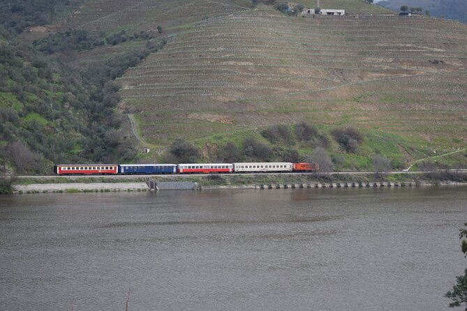 Douro Valley Tour With Train and Vinho Verde Review - Tasting Experiences