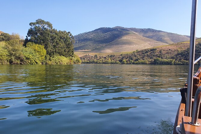 Douro Valley Tour With Train and Vinho Verde Review - Since You Asked