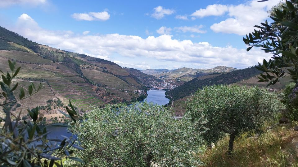 Douro Valley Tour With Wine Tasting Boat Cruise & Suprises.. - Itinerary Breakdown