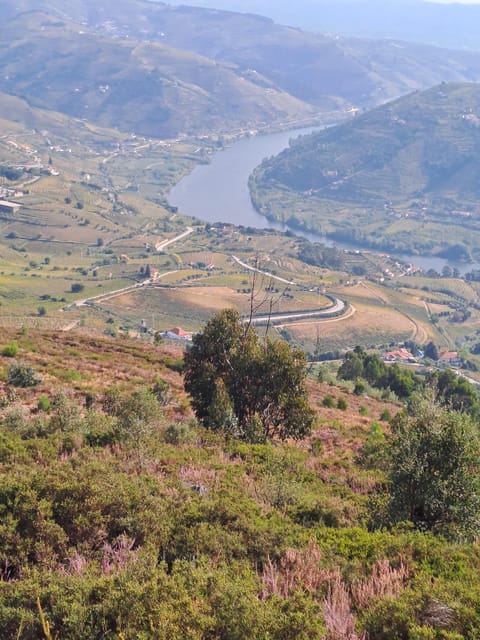 Douro Valley Tours, Braga Guimarães, Santiago Compostela - Booking Information