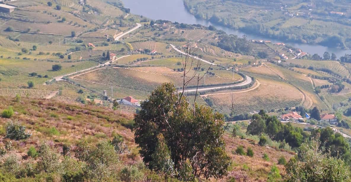 Douro Valley Tours, Braga Guimarães, Santiago De Compostela - Services Included
