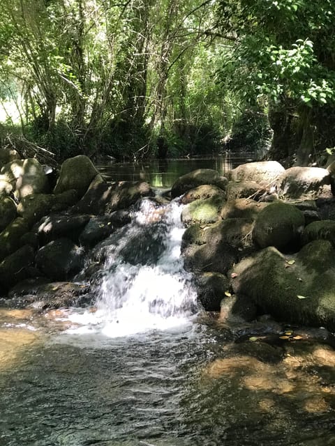 Douro Valley: water walking adventure with local lunch - Practical Considerations
