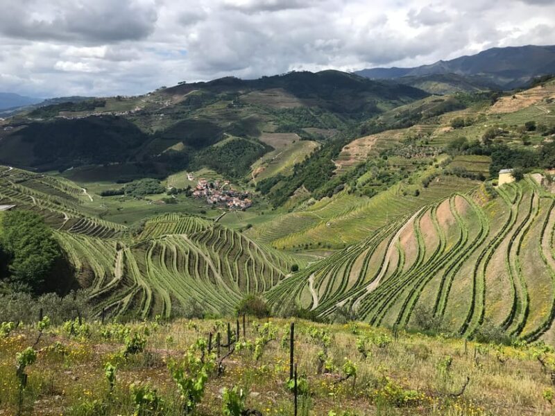 Douro Valley: water walking adventure with local lunch - Authentic Experiences and Authentic Landscapes