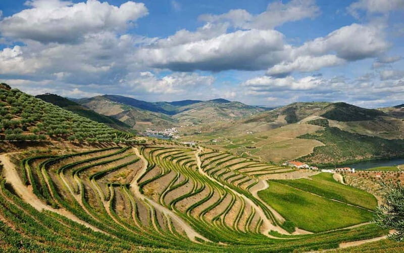 Douro Valley: Wine & Chocolate Tour in the Wine Region - An In-Depth Look at the Douro Valley: Wine & Chocolate Tour