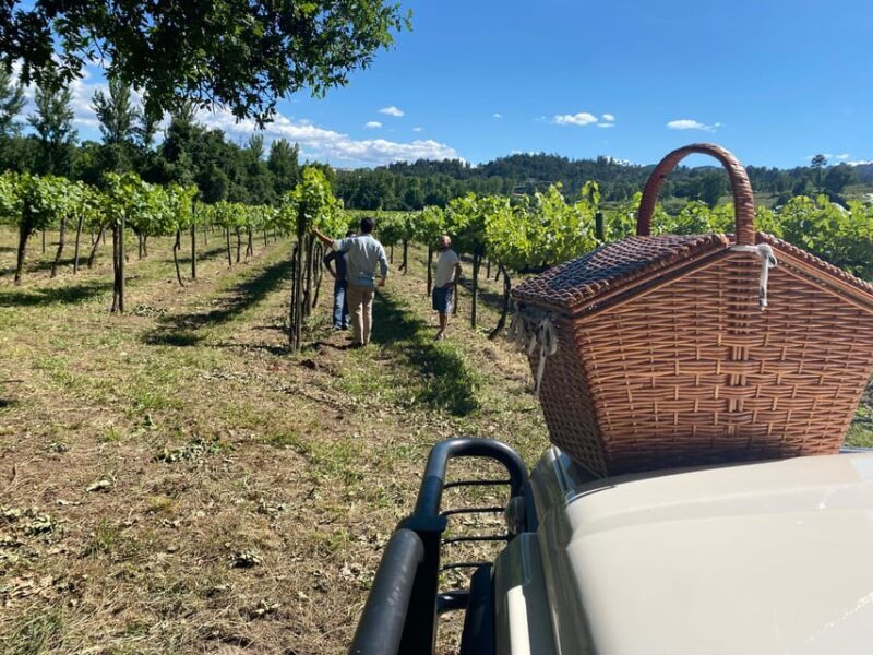 Douro Valley wine safari with wine tastings and lunch - Who Will Love This Experience?