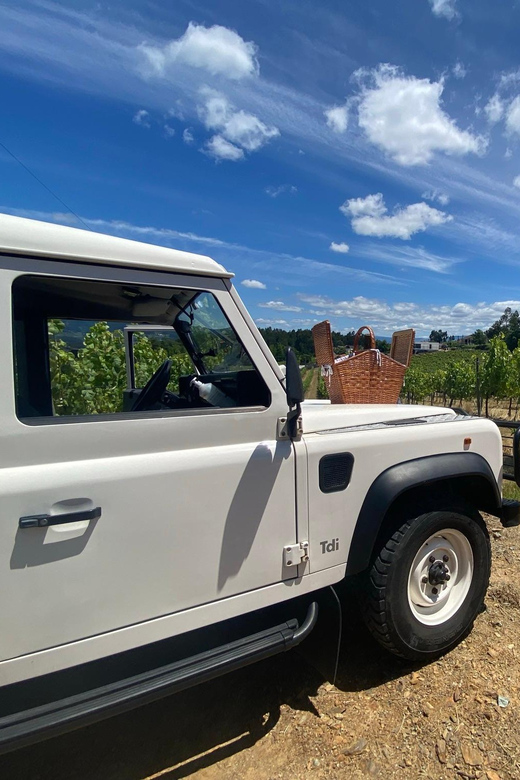 Douro Valley wine safari with wine tastings and lunch - Final Thoughts: Is It Worth It?