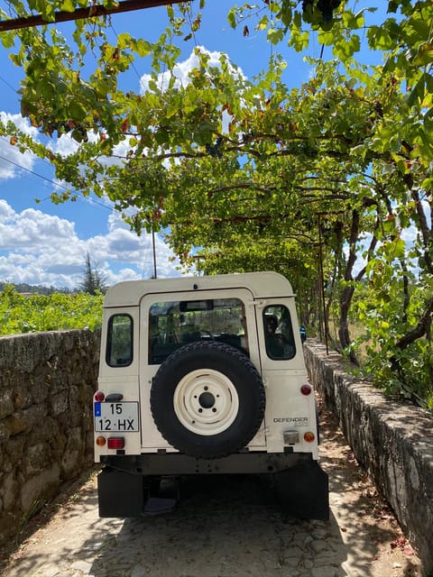 Douro Valley wine safari with wine tastings and lunch - Frequently Asked Questions
