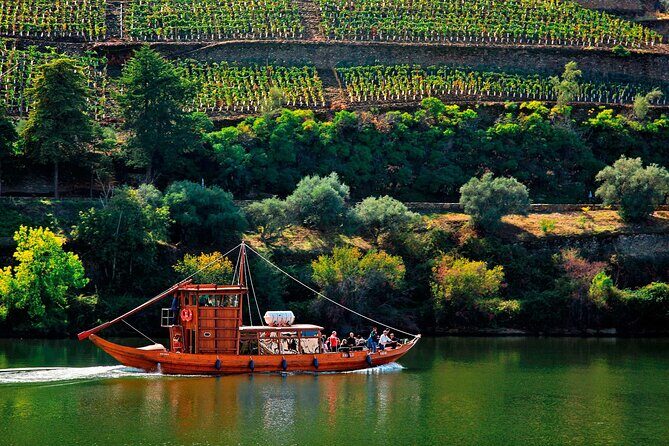 Douro Valley Wine Tour: Local Food & Wine Experience Small Group - Who Should Consider This Tour?
