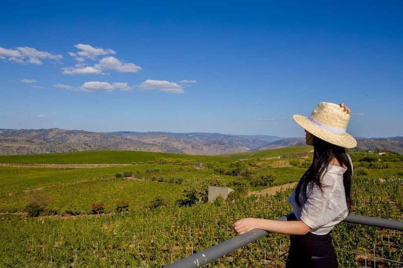 Douro Valley: Winery Visit & Legacy Port Wine Tasting - Key Points
