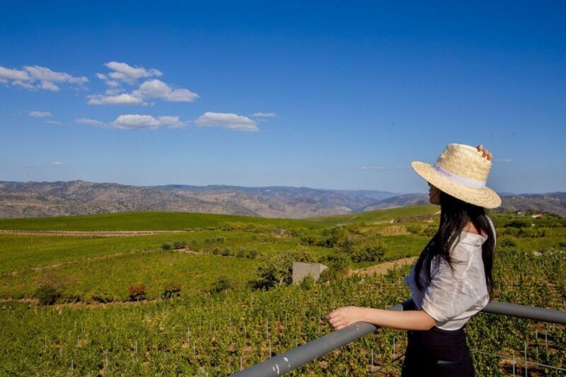 Douro Valley: Winery Visit & Premium Aged Port Wine Tasting - An Authentic Taste of Douro in Just 75 Minutes