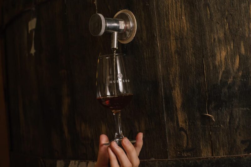 Douro Valley: Winery Visit & Premium Aged Port Wine Tasting - Final Thoughts: Is This Tour for You?