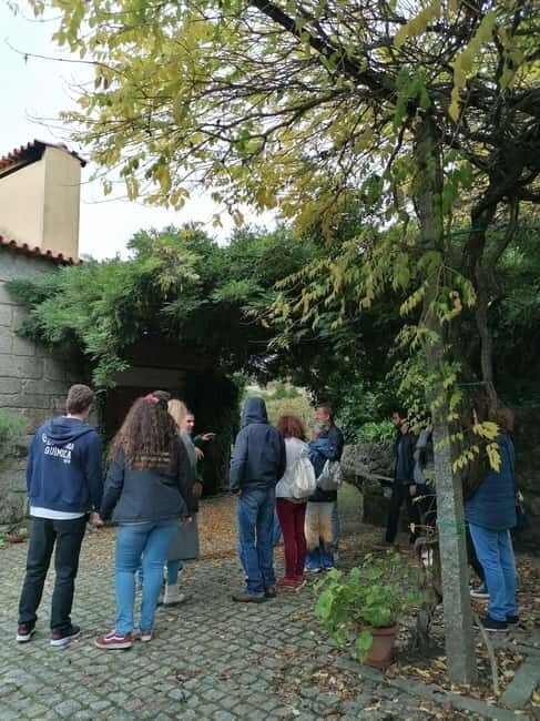 Douro & Vinho Verde Private Tour - What to Expect from the Douro & Vinho Verde Private Tour
