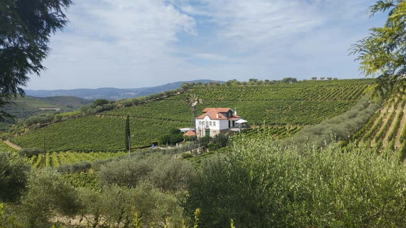 Douro & Vinho Verde Private Tour - FAQ