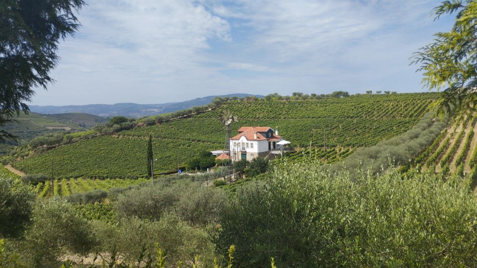 Douro & Vinho Verde Private Tour - Douro Valley Viewpoint