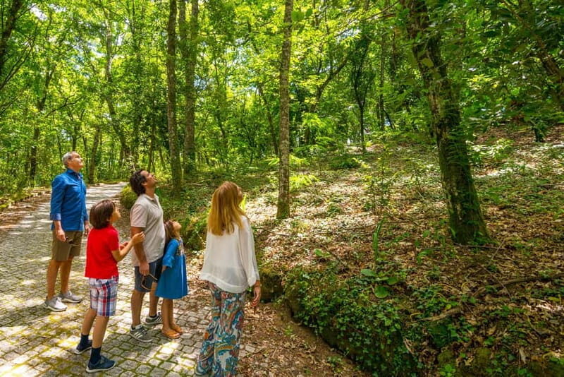 Douro: Visit And Walk Through The Vineyards And Woods - Who Will Love This Tour?