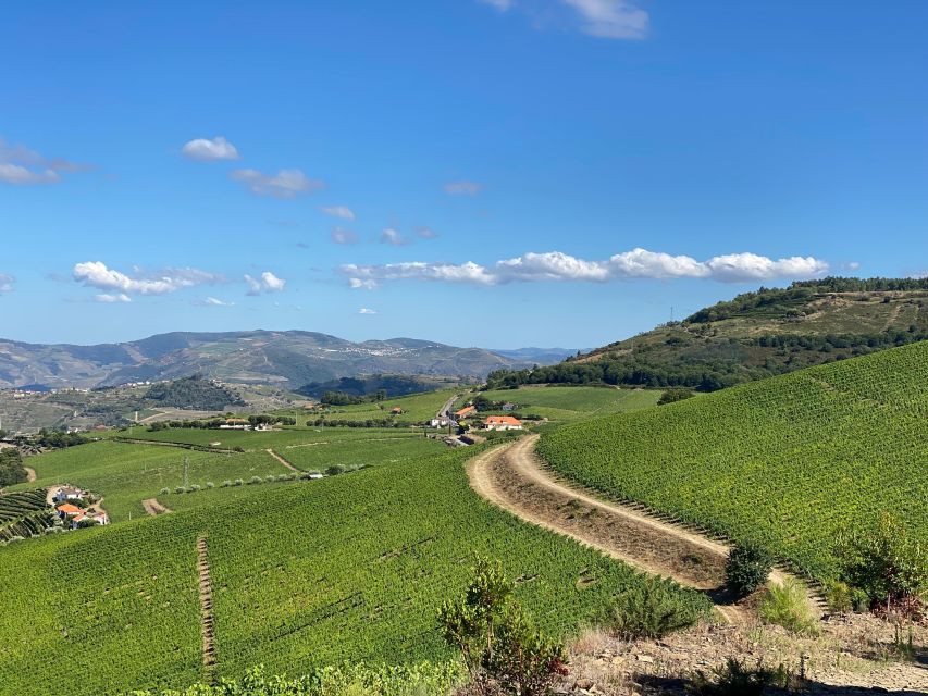 Douro - walking with full fancy lunch and premium wines - Practical Tips and Considerations