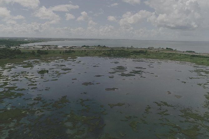 Down South Tour of Trinidad - The Reviews: What Past Travelers Say